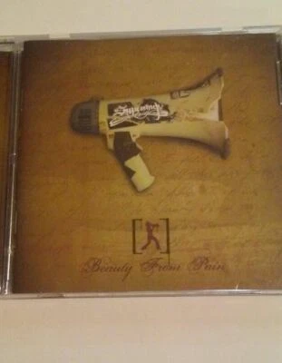 Superchick: Beauty From Pain компакт-диск - Изображение 1 из 4