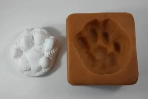 Custom Made Rubber Mold Mountain Lion FOOTPRINT Paw Print Cougar Puma Arizona #1 - Picture 1 of 10
