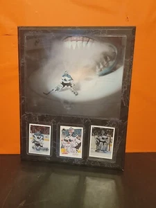Vintage NHL San Jose Sharks Evgeni Nabokov #20 Trading Card Photo Plaque Frame - Picture 1 of 6