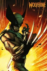 Marvel Extreme : Wolverine - Maxi Poster 61cm x 91.5cm new and sealed - Picture 1 of 1