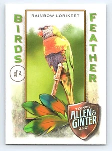 2021 Topps Allen & Ginter #BOF-10 Rainbow Lorikeet Birds of a Feather - Picture 1 of 2