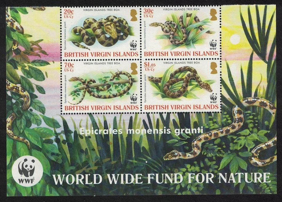 BVI WWF Virgin Islands Boa 4v Block of 4 WWF Logo 2005 MNH Sc#1051-1054 - Image 1 of 1