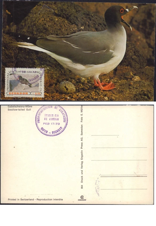 GALAPAGOS ISLANDS ECUADOR 1973 FDC MAXIM COVER CARD BIRDS - Image 1 of 1