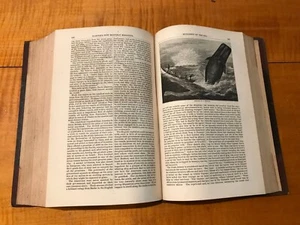 Harper's Monthly Magazine Vol. 49 1874 Whaling Sperm Whale Hunting Oceanography - Picture 1 of 23
