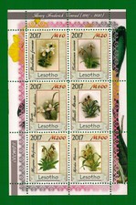 T5 LESOTHO PIANTE E FIORI EMISSIONI NON UFFICIALI