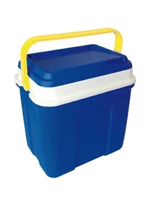 Frigo Termico Mini Ghiacciaia Termica Portatile da Viaggio Spiaggia per Bevande - Foto 1 di 3