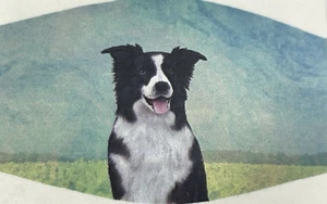Border Collie Liebhaber Gesichtsmaske Doppelnaht Dreifachfilter Hochwertig - Bild 1 von 6