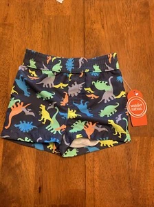 Wonder Nation Boys Dinosaur Swim Shorts/Trunks Size 12M Multicolor New  - Picture 1 of 3