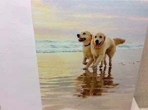 AVANTI JUBILÄUMSGRUSSKARTE Neu mit Umschlag "it's who you're with - Happy..." - Bild 1 von 2