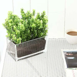 Rectangular Glass Vase, Trough Planter, Tabletop Terrarium for green atmospheres - Picture 1 of 5