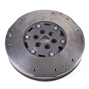  Volano doppia massa DMF100  - Foto 1 di 3