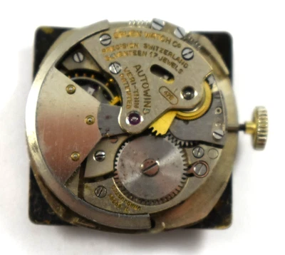Reloj Pulsera Movimiento Vintage Gruen Autowind 475 17J Lote.wo Foto 1 de 3