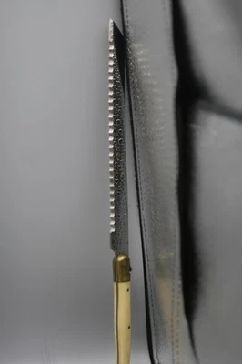 "Cuchillo para pasteles de acero inoxidable Laguiole Z40C13 TREMPE 12"" GA" Foto 1 de 4