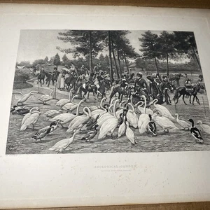 JEAN RICHARD GOUBIE Print Zoological Garden Paris - Picture 1 of 7