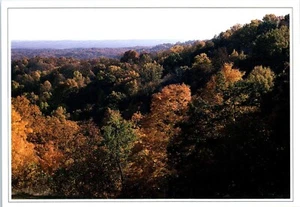 Late Afternoon Light Falls on the Wooded Indiana Hills Postcard - Picture 1 of 2