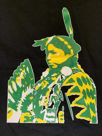 Oregon Ducks Flag/banner, Native American Design Cover