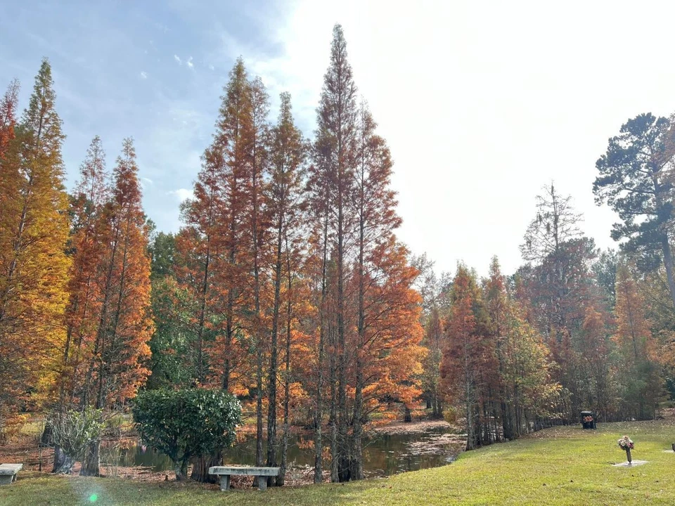 2 parcelas/tumbas funerarias y 2 bóvedas funerarias en el cementerio Laurelwood, Stroudsburg PA Foto 1 de 4
