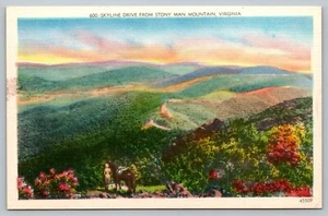 Postal Skyline Drive Stony Man Mountain Horseback Virginia VA - Imagen 1 de 2
