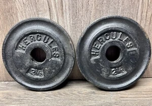 Vintage Pair of 2.5 Lb 5 Lb Total Hercules Barbell Dumbbell Weights Plates York - Picture 1 of 3