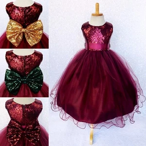 Burgundy FL Mini Sequin 2 Layer Tulle Toddler Infant Dress Birthday Wedding Fall - Picture 1 of 26