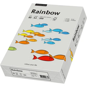 Papiro Kopierpapier Arcobaleno Grigio Colorata Italiana din A4 80g 500 Foglio - Foto 1 di 1