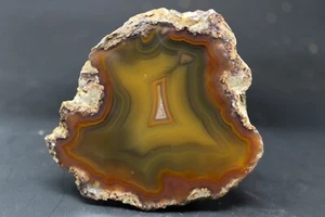 Condor agate collector specimen  - Picture 1 of 4