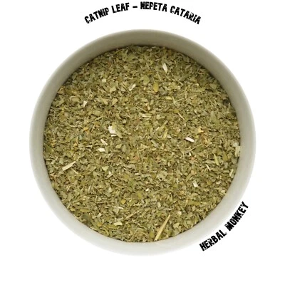 HERBALMONKEY Catnip Herb | Nepeta Cataria | Organic Catnip | Catnip Tea