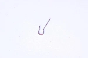 Venus 150 175 part 430 Ressort de cliquet Click spring Molla del cricco NOS - Picture 1 of 1