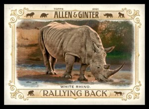 2021 Topps Allen & Ginter White Rhino #RB-7