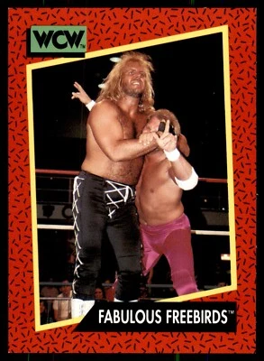 1991 Impel WCW #123 Fabulous Freebirds Rookie Card RC (2B0) - Image 1 of 2