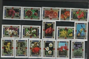 Juego de flores Juego muy bonito Guinea (x25) - Imagen 1 de 1