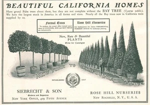 Rose Hill Nurseries Rare & Beautiful Plants New Rochelle NY 1902 Print Ad - Picture 1 of 1