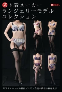 Lingerie Model Collection Japanese Model / Art Reference Photo Japan - Imagen 1 de 1