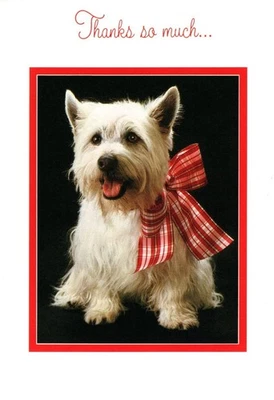 Tarjeta de felicitación Thank You White Westie cachorro perro a cuadros sello de hospitalidad Foto 1 de 3