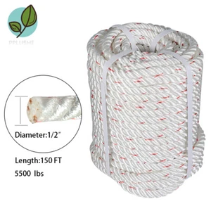 1/2" Three Strand Rope Polyester Arborist Bull Tree Rigging Line Utility 4000lbs - Picture 1 of 7