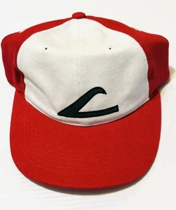 Pokemon Cosplay Mütze ASH KETCHUM BESTICKT Kappe Erwachsene verstellbar tariffrei - Bild 1 von 5