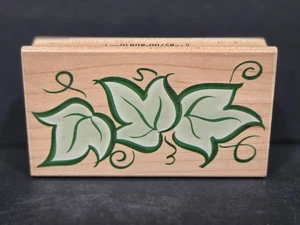 1998 Hero Arts Gummistempel, Designdrucke F1473 Ivy - Bild 1 von 3