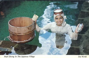 Cartolina Pearl Diving in Japanese Village Sea World San Diego California 1981 - Foto 1 di 2