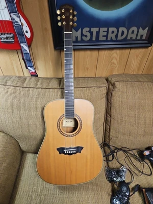 Washburn WD200S ACOUSTIC CLASSICAL GUITAR - image 1 of 4