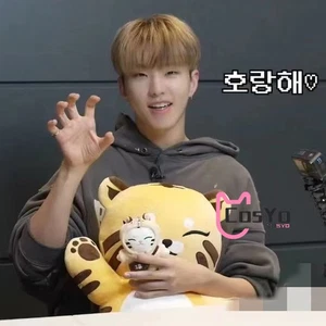 2025 SEVENTEEN HOSHI Artist Made Collection Tamtam Plush Doll Keyring - Picture 1 of 11