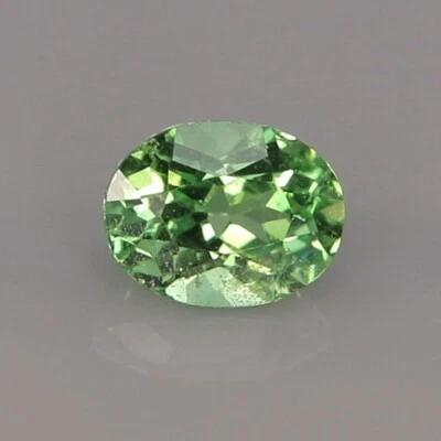 Granate tsavorita natural verde menta brillante 0,43 quilates 2310122-3 Foto 1 de 4