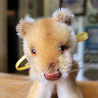 Antique Vintage Blond Mohair Steiff Lea Lioness Teddy Bear Friend 4x7in EUC