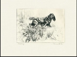 FIELD SPANIEL OLD 1930'S DOG ART PRINT OF GUNDOGS by VERNON STOKES - Picture 1 of 1