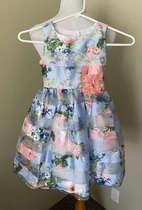Jona Michelle Girls Special Occasion Sheer Blue Floral Dress Size 5 - Picture 1 of 6