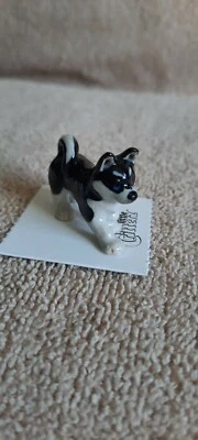 LITTLE CRITTERZ Dog Siberian Husky "Bering" Miniature Figurine New LC814 - Image 1 of 4