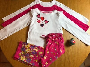 4 Piece Girls Mix and Match Outfit Hearts and Floral Size 4T EUC - Picture 1 of 1