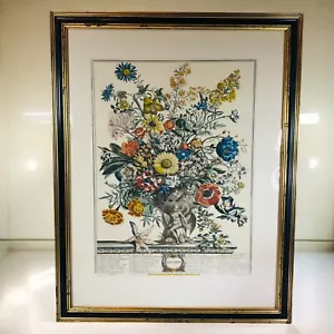 Vintage Robert Furber incorniciato arte da parete fiori del mese novembre 22,75 in x 18 in - Foto 1 di 13