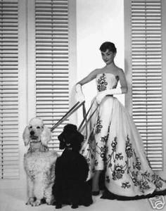 AUDREY HEPBURN 16x20 VESTIDO BLANCO SÚPER GRANDE + 2 CANICHES IMPRESIÓN IMAGEN - Imagen 1 de 1