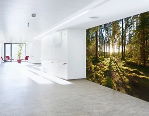 3D Forest Meadow 8668 Wallpaper Mural Wall Print Wall Wallpaper Murals US Coco - Picture 1 of 11