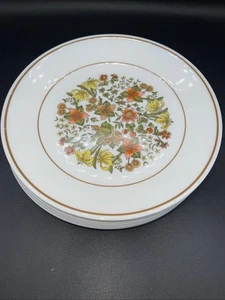 CORELLE PIATTI ESTIVI INDIANI 8,5 IN Vintage Retrò MCM EUC Ricambi - Foto 1 di 9